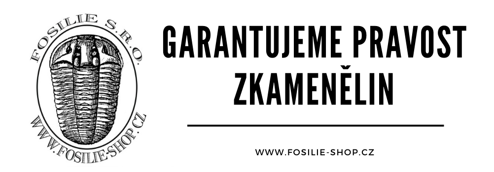 pravost zkamenelin garantujeme